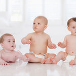 Baby Diaper Cute Seal Baby Diapers - Combo