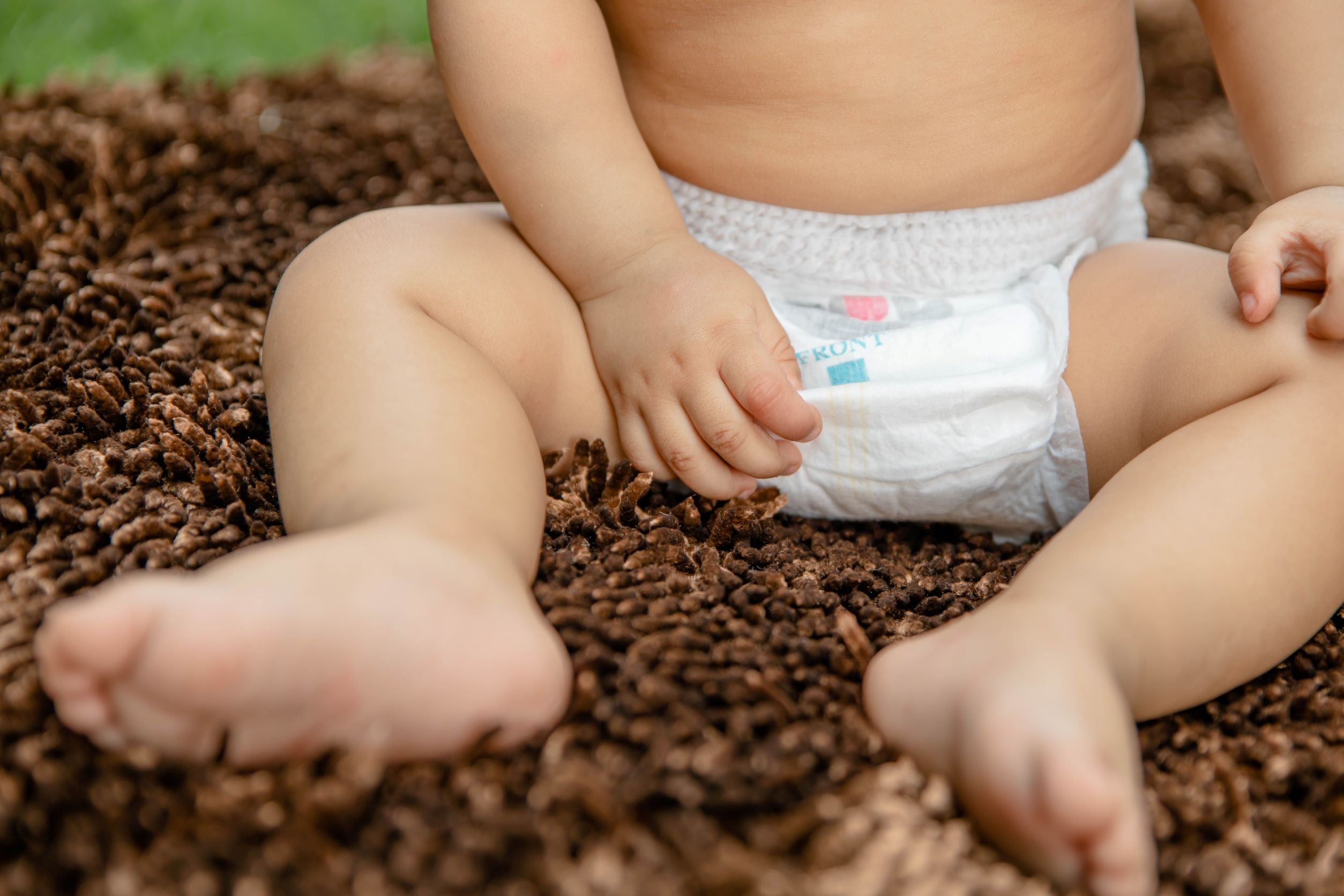 Baby Diaper Cute Seal - Medium - 56 pcs (Pant Type / Pull-ups Type)